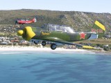 A2A_032 - Two YAK 52's near Kommertjie