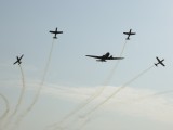 SF-10