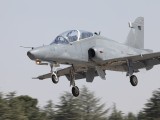 Hawk-6
