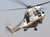 Oryx-2