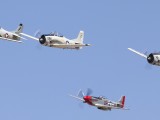 Warbird formo-3