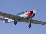 YAK52-2