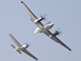 Beech-2