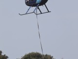 MD500-5