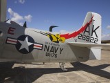 FL2007_052 - Skyraider art work