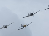 IMG_5139 - Bearcat/Wildcat/Hellcat/ Corsair