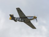 IMG_5262 - Mustang P51D