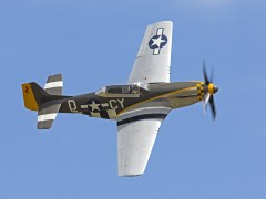 IMG_9884