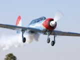 Newcastle_009 - Davie Gouws taking off in his YAK52