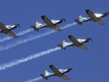 Newcastle_017 - the Silver Falcons