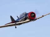 Newcastle_035 - Tora Tora by the Harvards