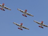 Eqstra Harvards 10