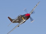 Mustang 7