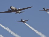 Silver Falcons 3