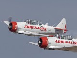 IMG_3864AP