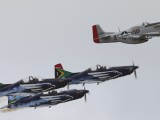PE_066 - the Silver Falcons with the Mustang