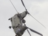 RIAT2009_214 - RAF Chinook