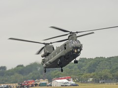 IMG_0308AP