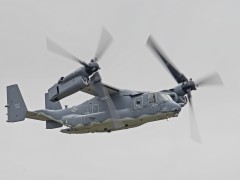 IMG_0443AP