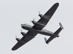 IMG_0502