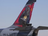 Rand_017 - tail artwork on an L39