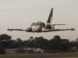 L39-1