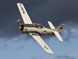 Trojan-8