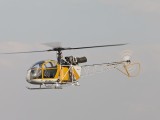 Alloutte_2