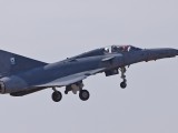 Cheetah_3