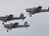 Chipmunk_4