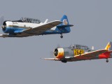 Harvard_4