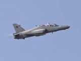 Hawk_1