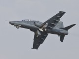 Hawk_3