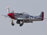 Mustang_2