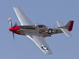 Mustang_5