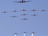 Swartkop_003 - fifteen radials working together