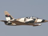 L39-1