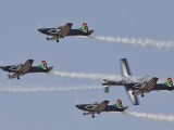 Silver Falcons 11