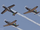 Silver Falcons 5