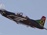 Silver Falcons 6